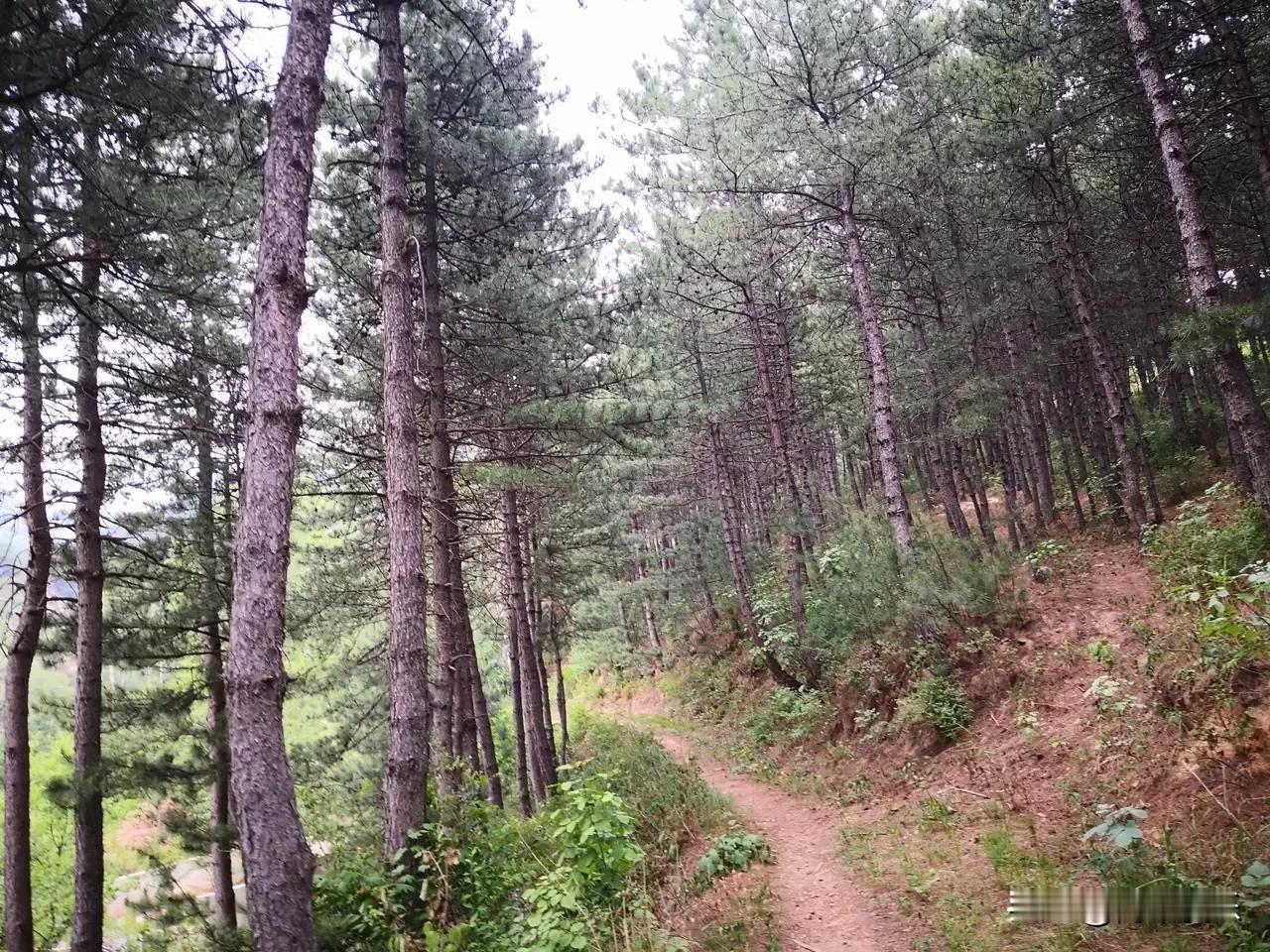 老人的俗话，孩子三岁看大，七岁看老。好多人对此持怀疑态度，认为孩子还小，可塑性很