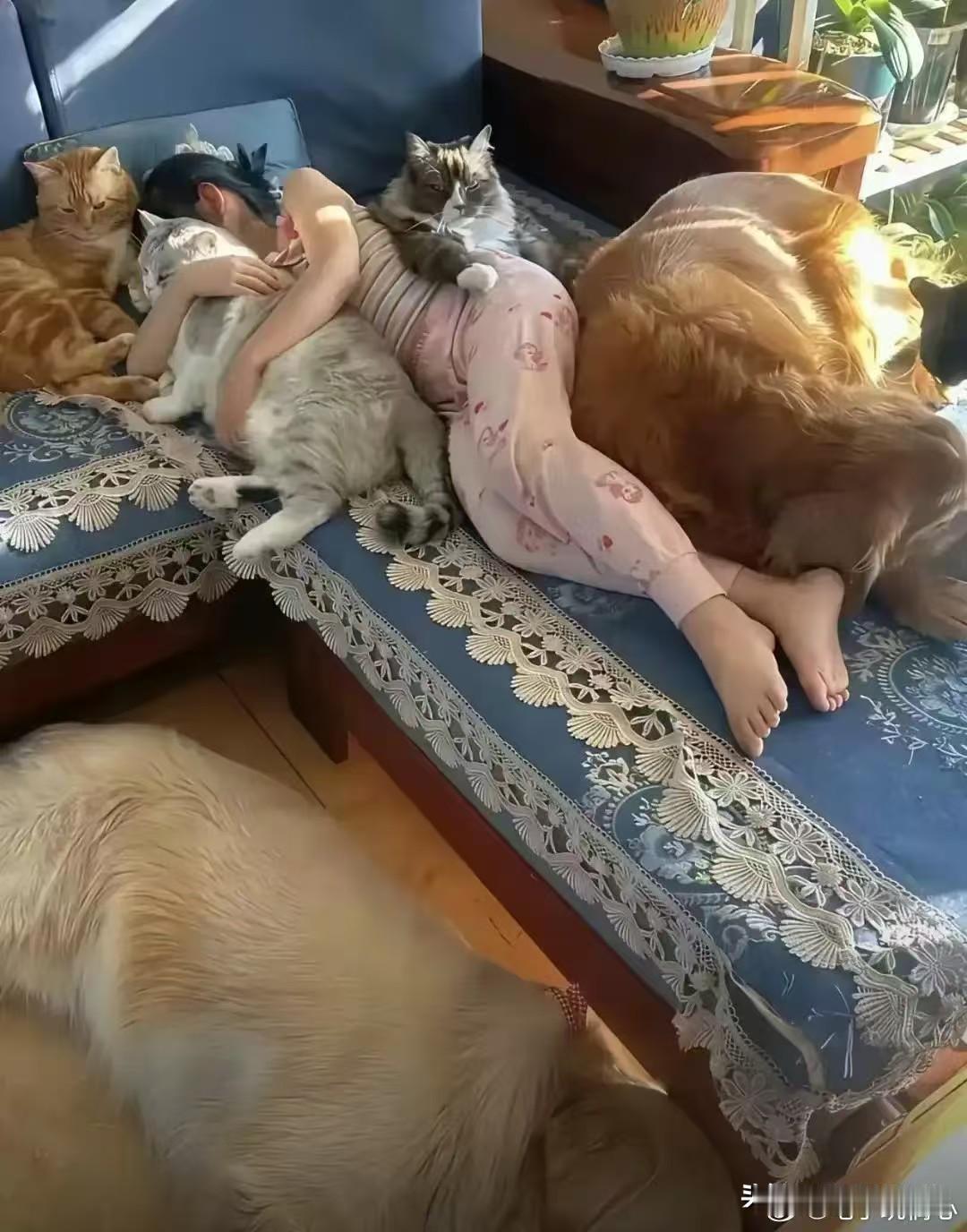 这就是你们最爱干净的女孩子