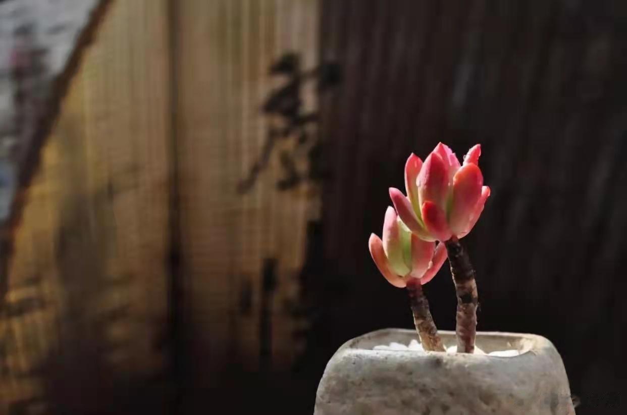 朋友的爸爸，年轻时对老婆一点也不好，喝醉酒经常打老婆，对自己的孩子也不闻不问，赚