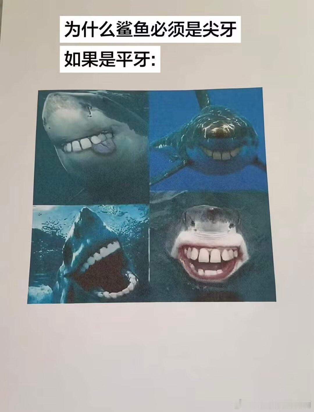 4552笑得我好崩溃 