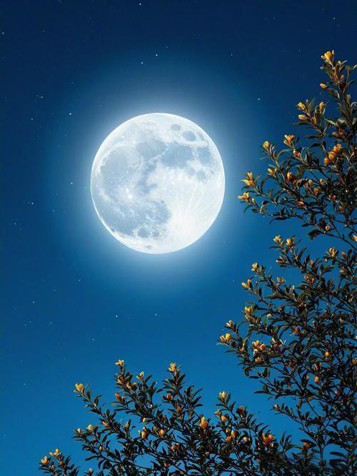 很多人都应该刷到过，说“现在的月亮没有以前月亮更亮”的这类视频。其实月亮本身没“