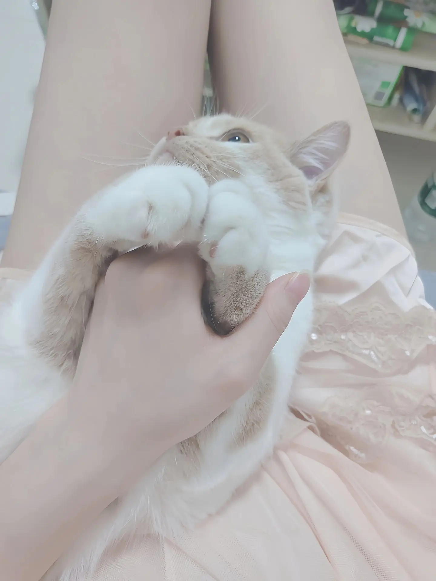 以后结婚就用这一首