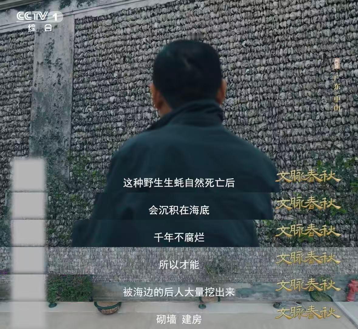 蚝壳砌的墙太震撼了废物利用天花板！蚝壳变墙体，不腐不坏还隔音防盗，建议当代设计师