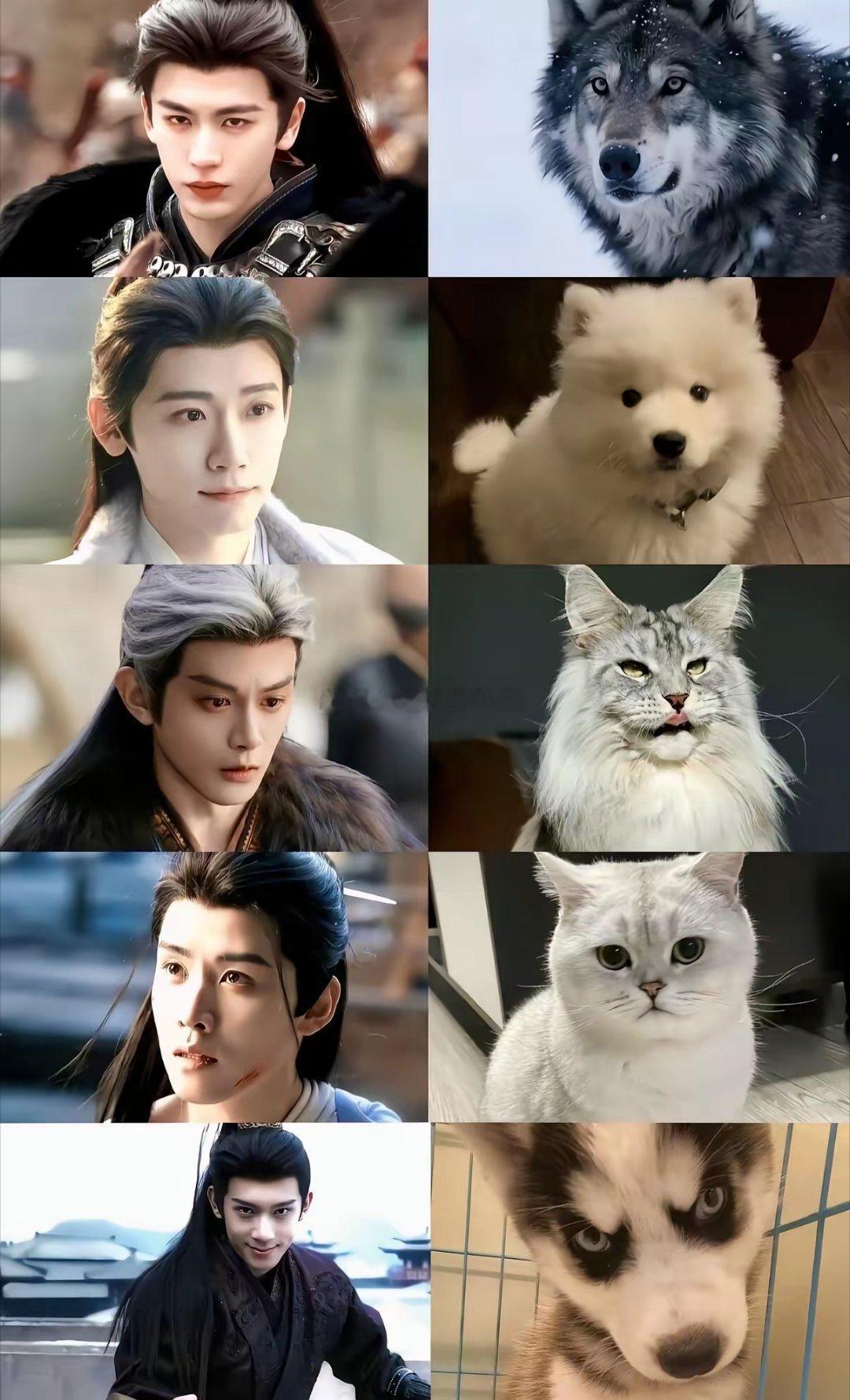 形象这一块||逐玉 ﻿