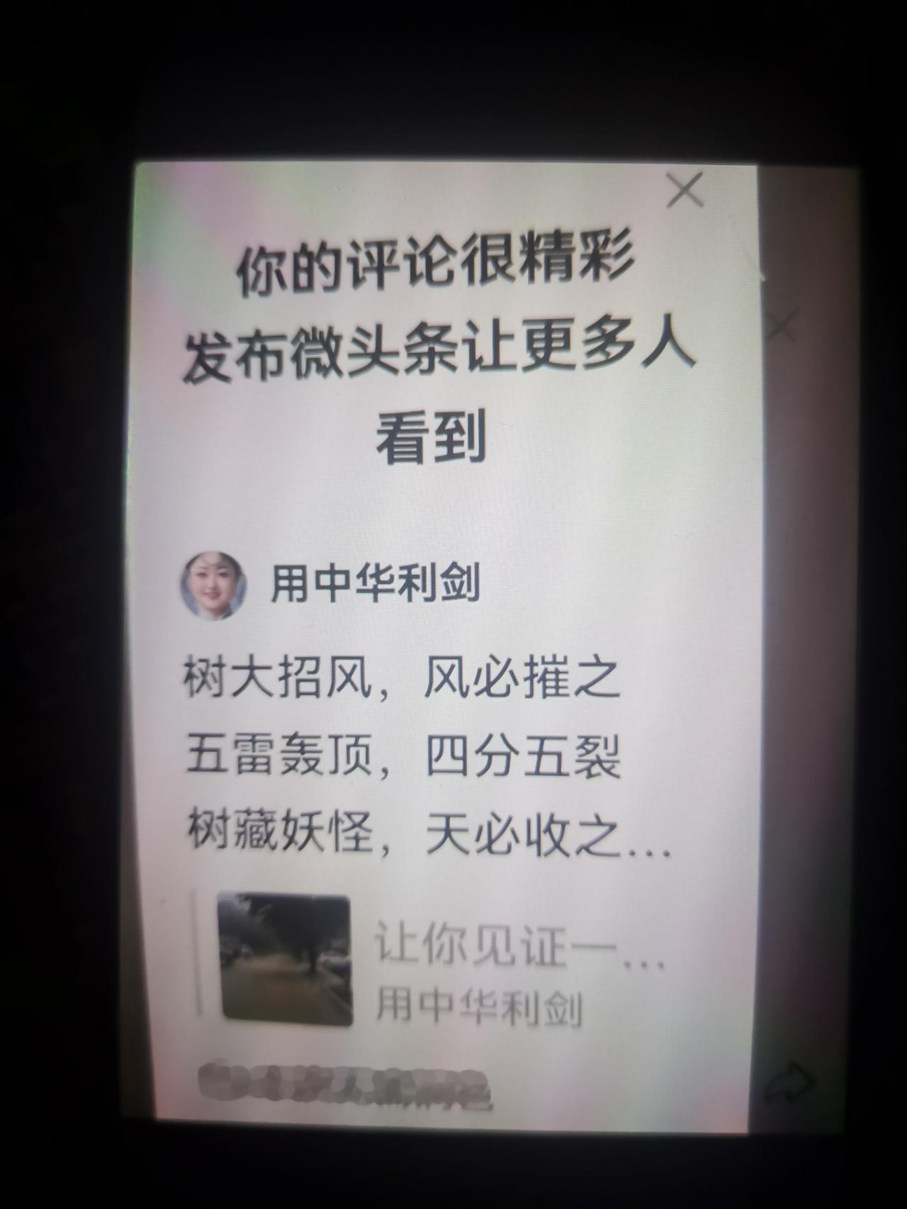 树大招风，风必摧之
五雷轰顶，四分五裂
树藏妖怪，天必收之
道法自然，相辅相生