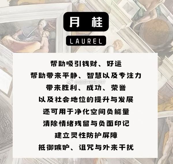 小蜡烛大更新！！！！推荐给大家急事就用小的！四款水逆退散补给包大家抓紧！月桂和星