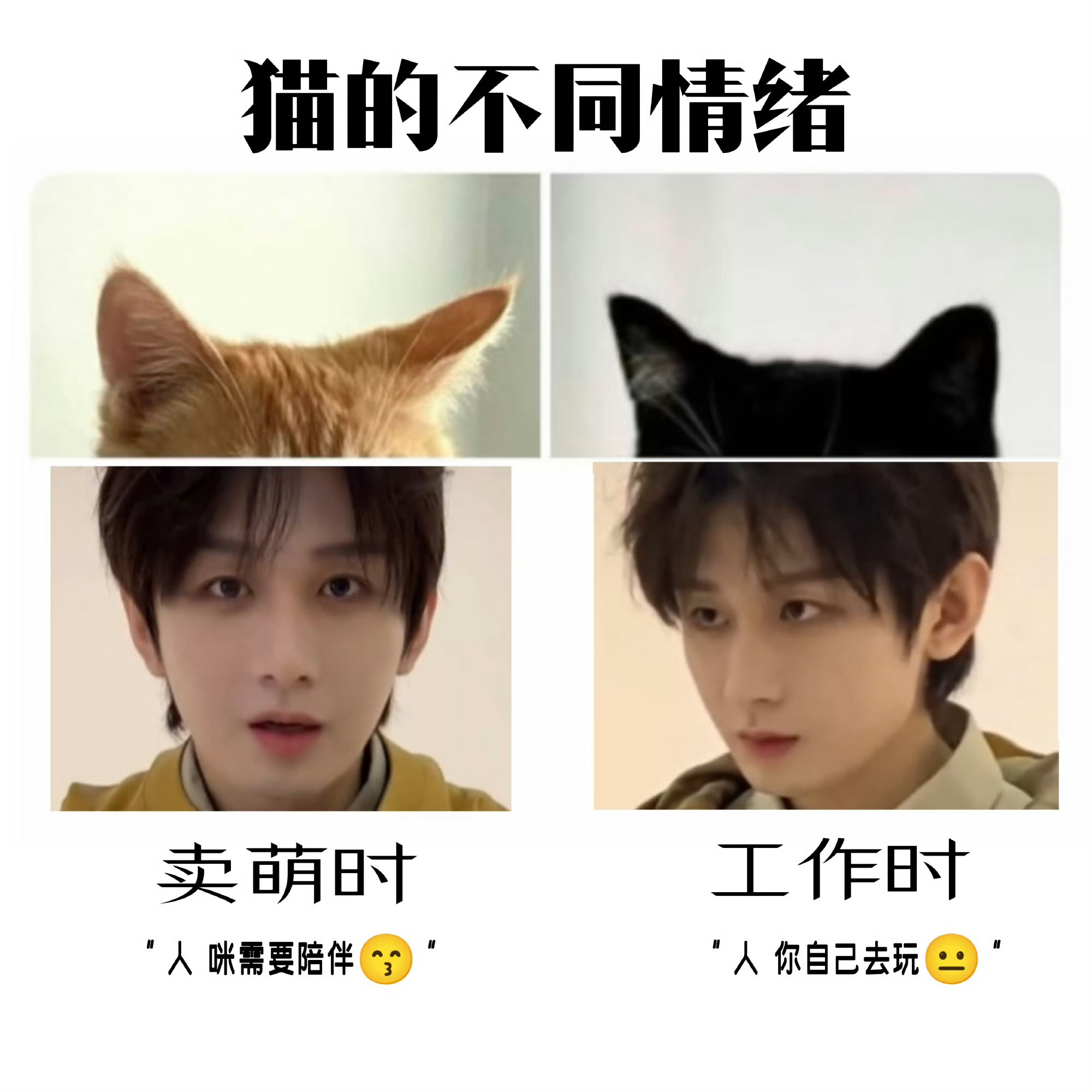 傅诗淇 傅诗淇（成毅）我又来啦，想你的每一天
