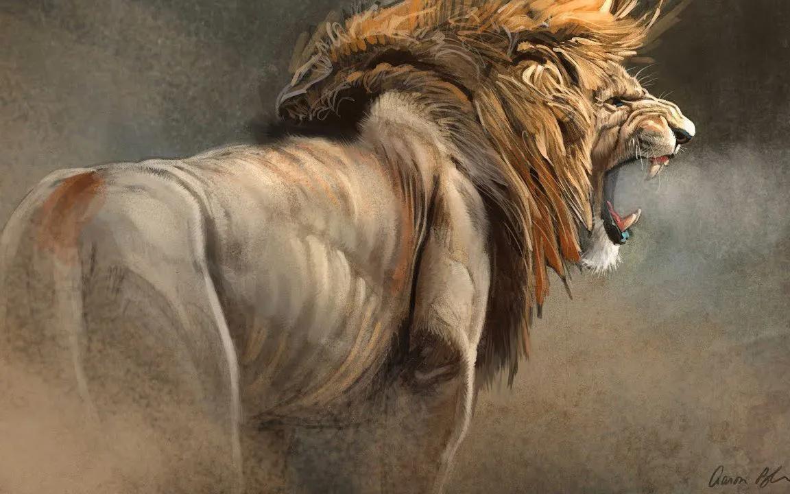 你是否曾经想过，为什么动物会害怕人类呢？最近的一项研究发现，生活在南非大克鲁格国