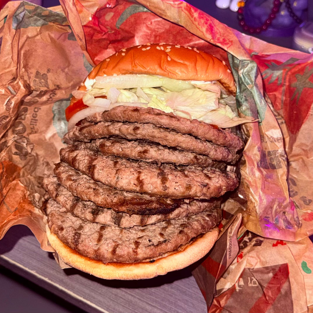 梦中情堡🍔已炫 