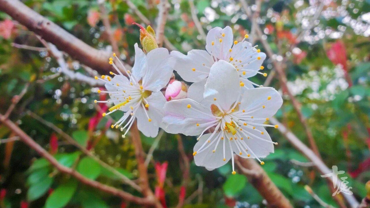 众生皆苦，世人难渡，
你又何必想那么多呢？
路走的太多，疼的是脚，
人想的太多，