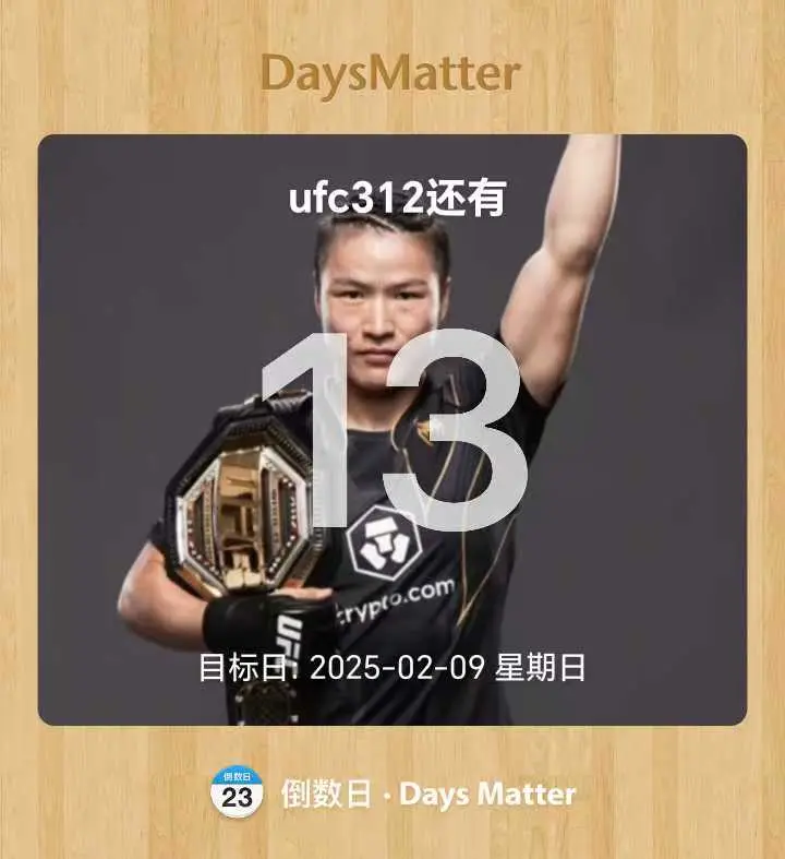 ufc312 张伟丽vs苏亚雷斯 综合格斗