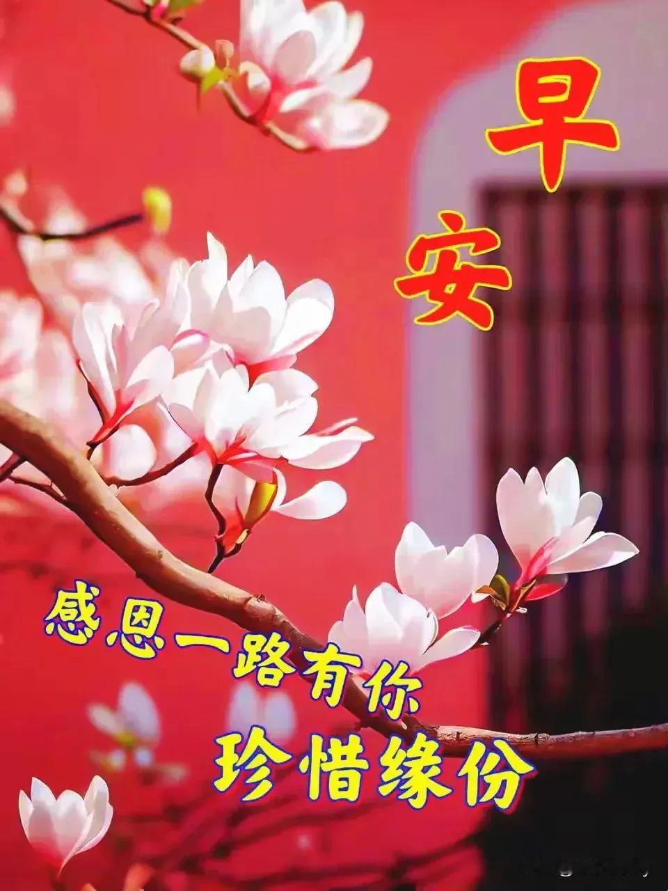 推窗听雨落
闭户闻花香‌

推窗听雨落
梦里看花飞

推窗听雨落
倚栏赏花开
