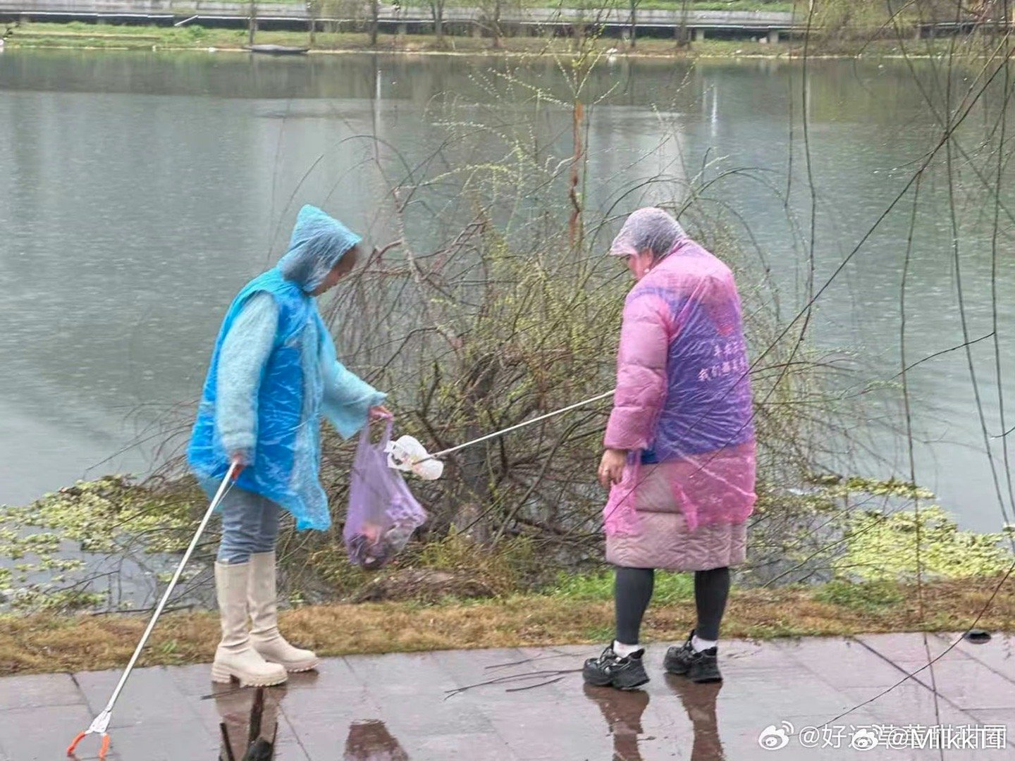 台州有场春雨中的雷锋守护春雨微凉，爱心滚烫。台州三门沙柳街道的志愿者们冒雨行动，