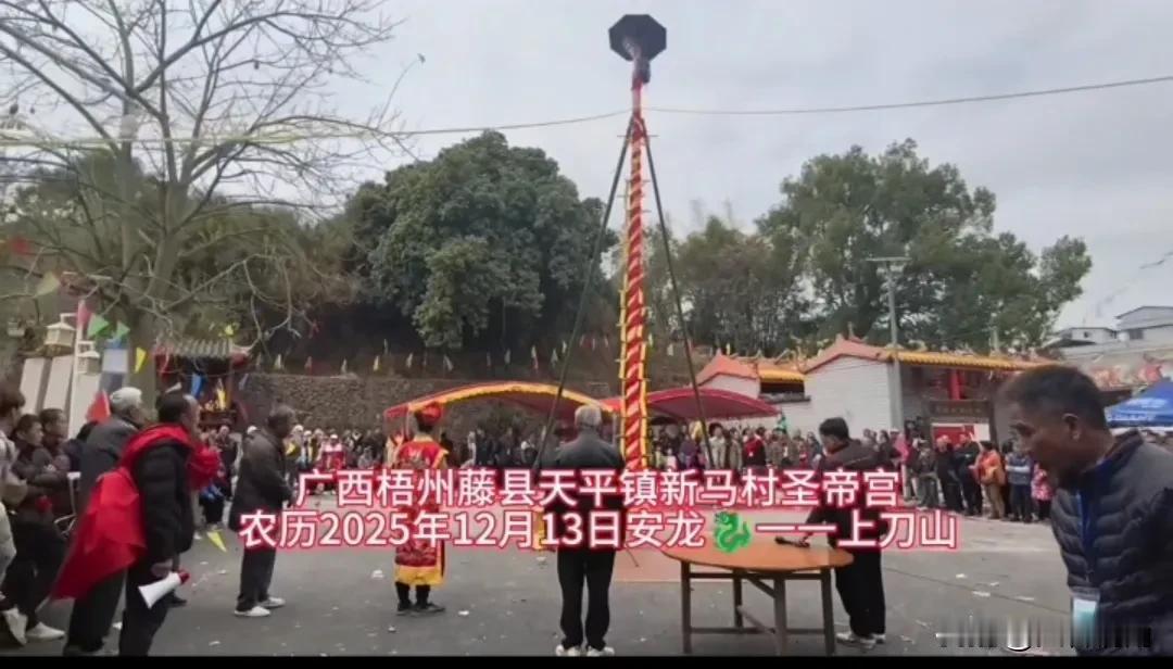 广西梧州藤县天平镇新马村安龙上刀山，是一项具有浓郁地方特色的传统民俗活动。根据图