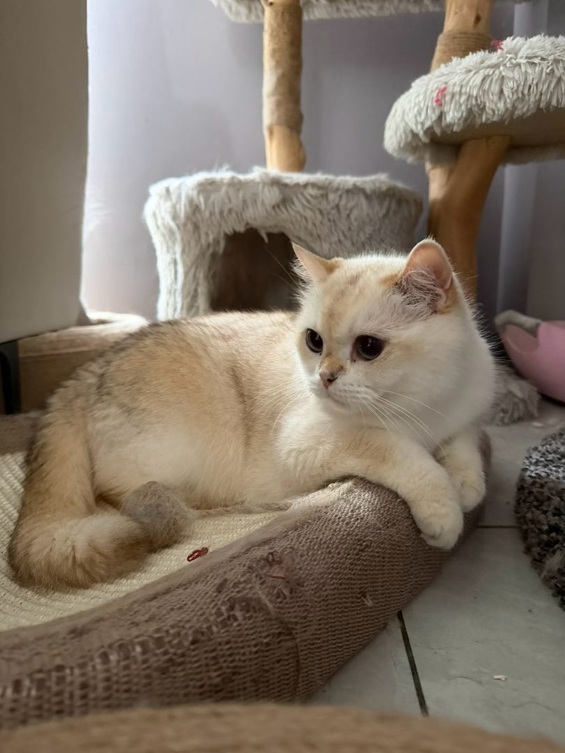 猫宁！今天薯秘带队去巴黎啦，后面就是库存➕蕾秘、伟秘的一些摄影作品，大家将就看吧