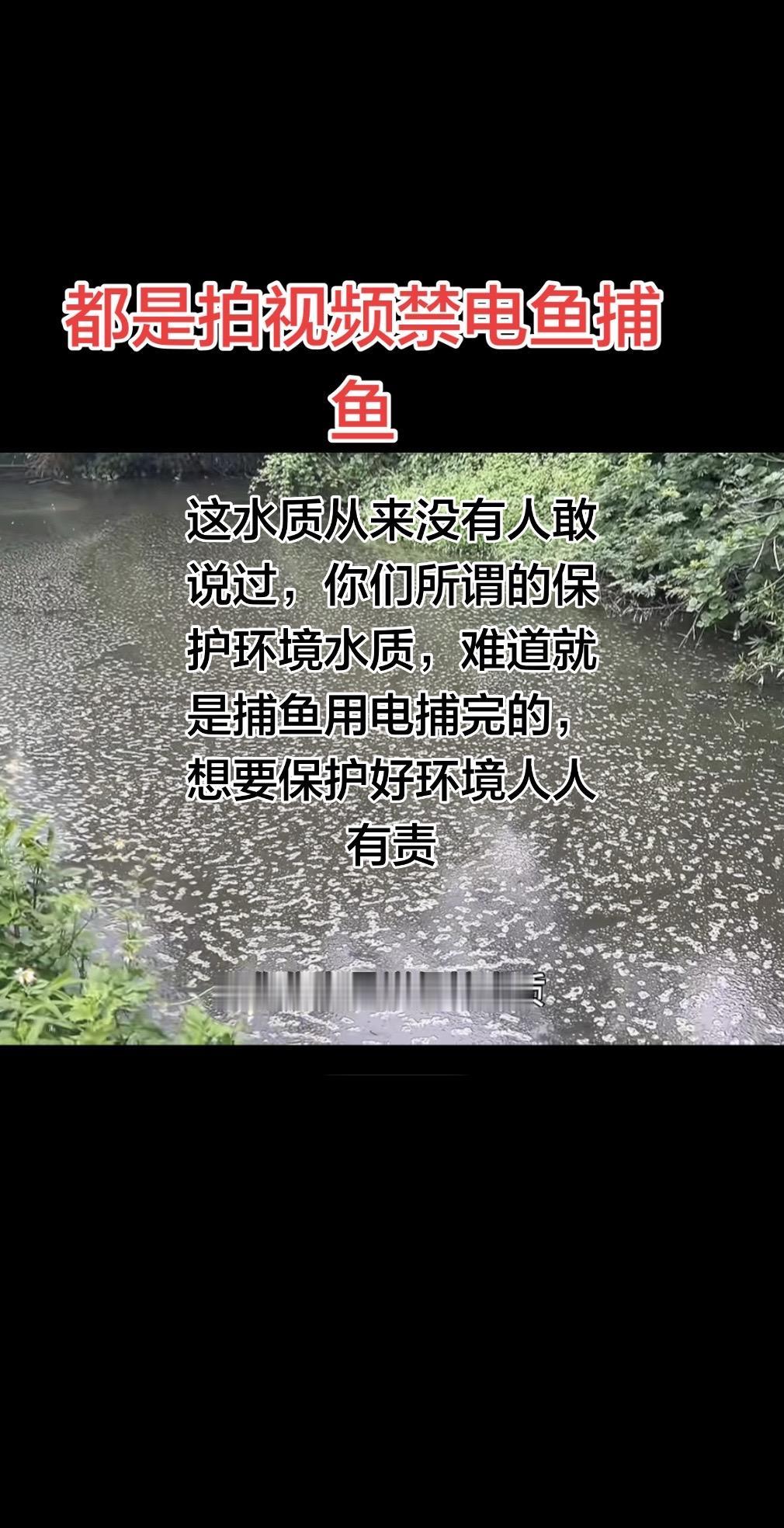 不要总是怪电鱼的捕鱼的，这些字媒体坐在家里就胡说八道了，到底有没有去走过看过？有