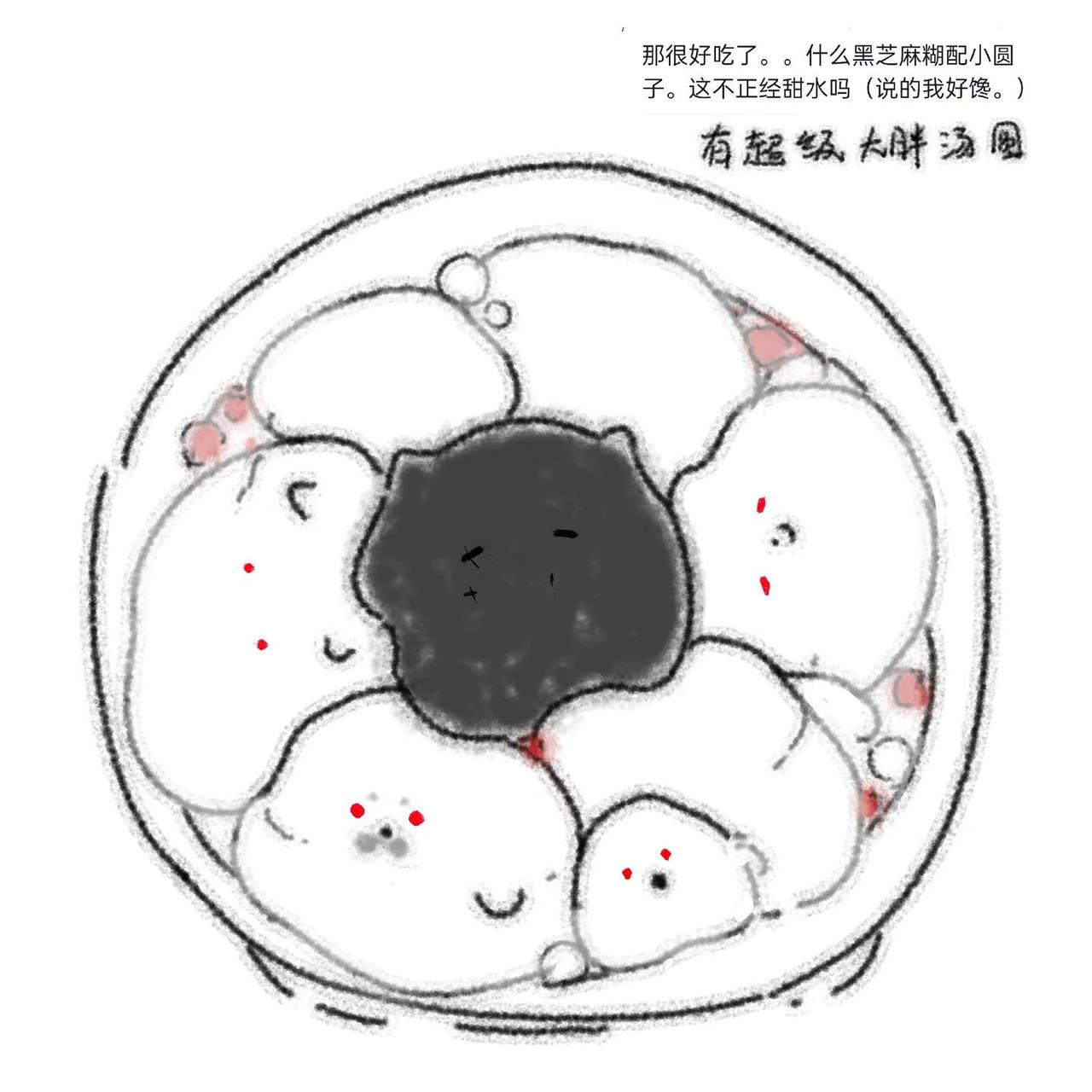 汤圆同事