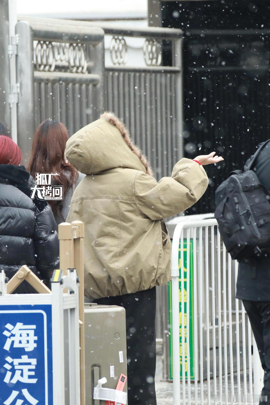 白鹿伸手接雪白鹿用手接雪 白鹿春晚联排，站在门口伸手接雪花，鲜活又真实 