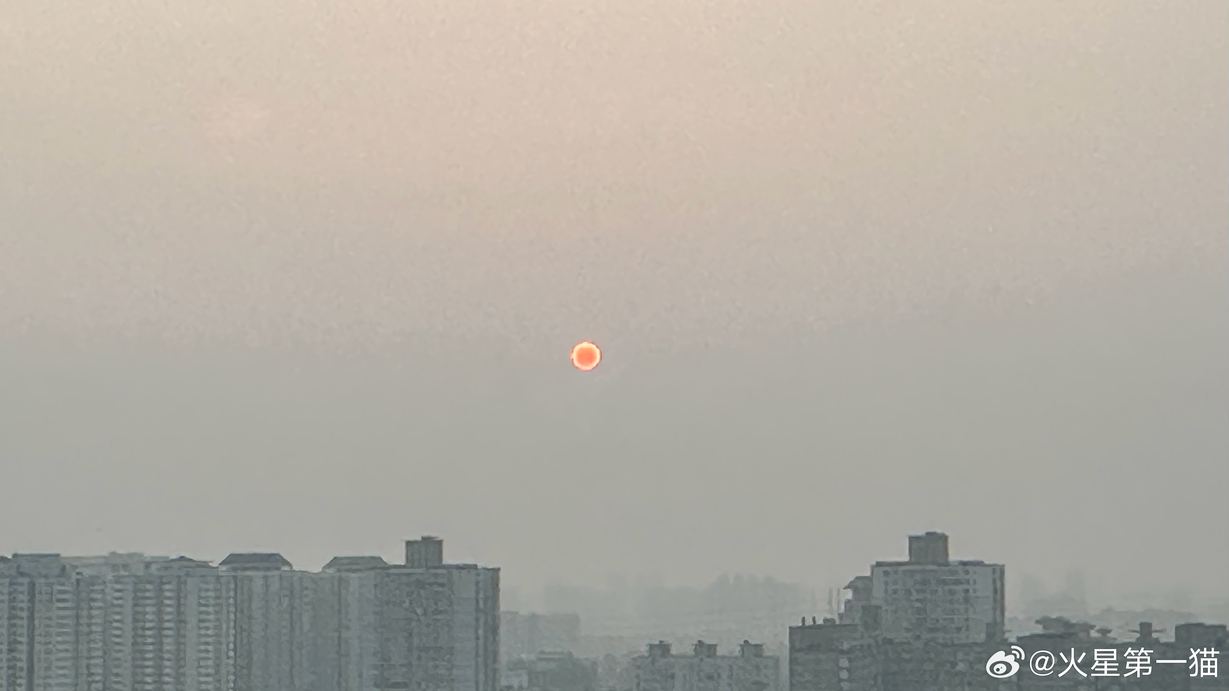 5:36 日出扶桑一丈高，人间万事细如毛。与火星第一猫一起早起看日出