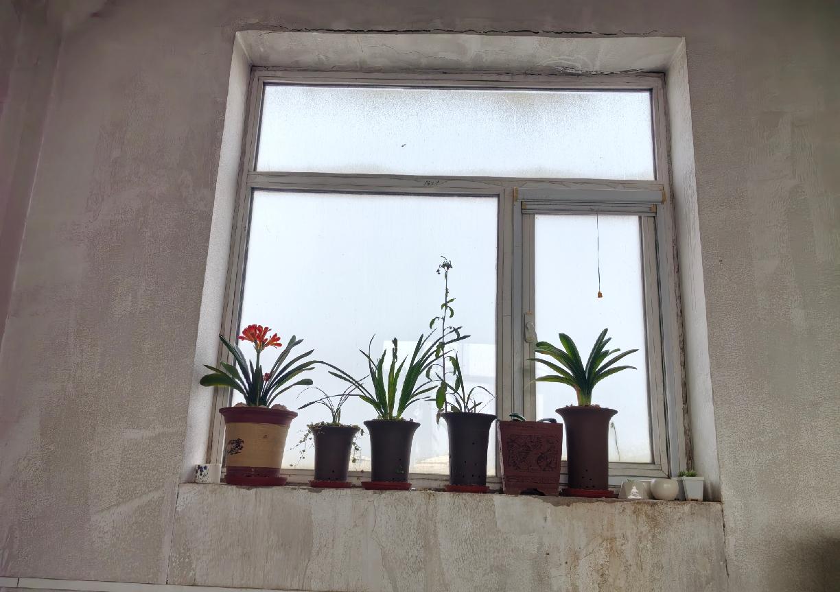 生命最高的境界，是哭着来、笑着走。来时纯粹，去时释然，历经百态，不留遗憾。不惧岁
