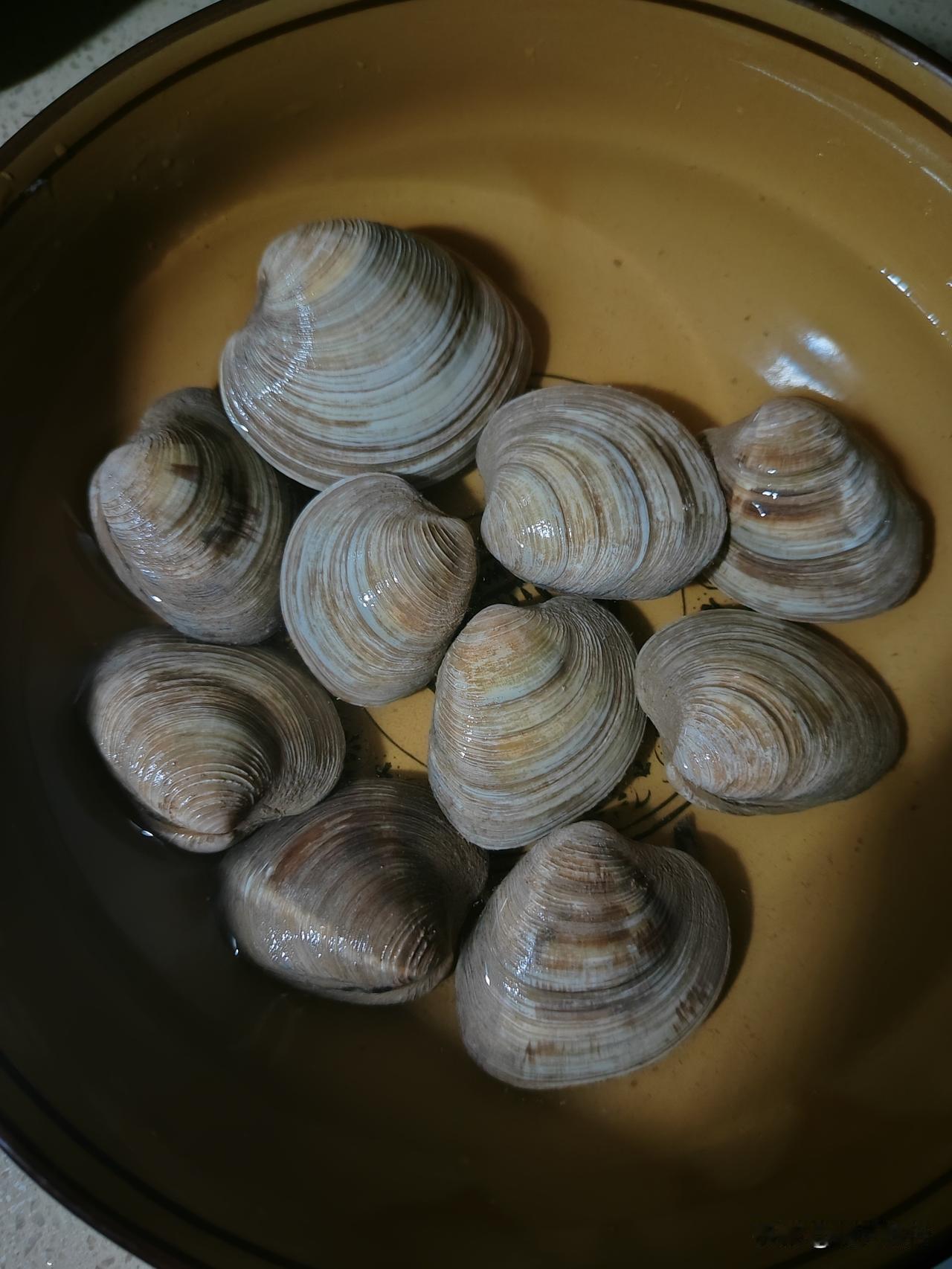 快中午了，拿出买的蛤准备炒一下，忽然明白了我脑子慢了好几拍。

上月初刚来漳州港