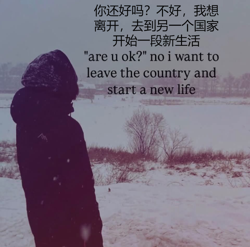 我希望卷入一起秘密事件，被迫放弃现在的生活，以新身份在另一个地方重新开始 