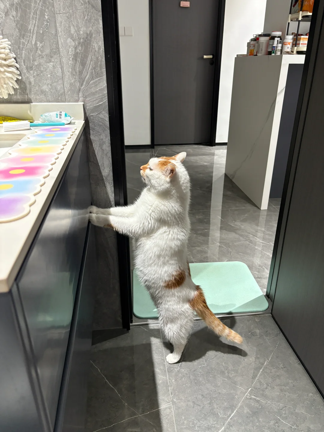 满满的安全感！