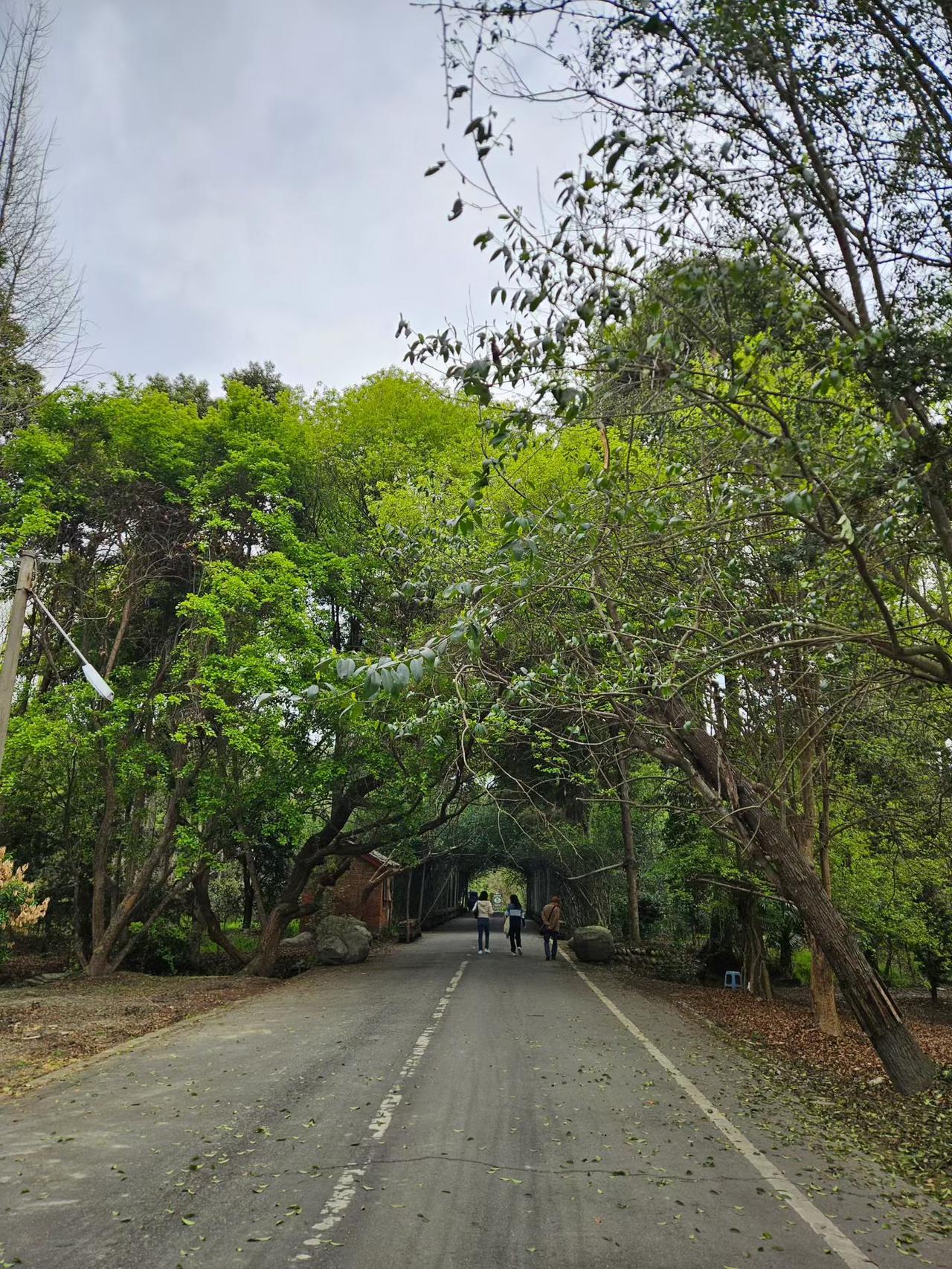 今年春天最想实现的心愿，主打一个巴适得板！
 
春风一吹，整个人都飘了！往年春天