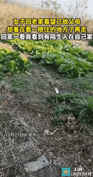 太心酸了！女子在外漂泊多年，近日很思念已故的父母，就想着回老家看看，不料，一进门