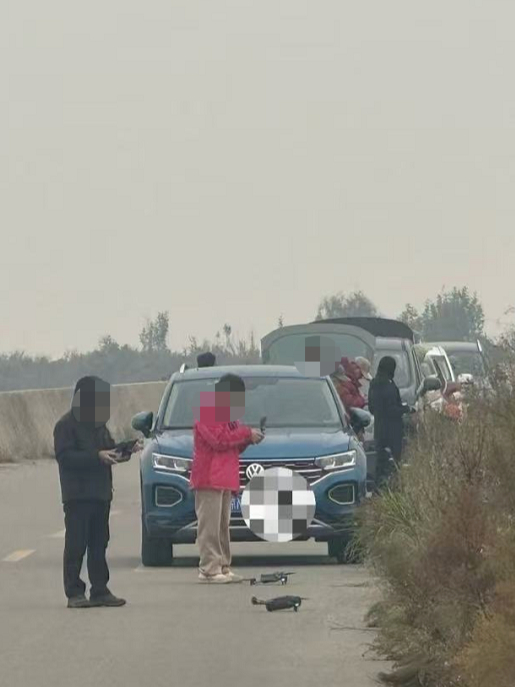 #当地回应网友称无人机扰鸟#【网友反映东营黄河三角洲“无人机扰鸟”，当地回复称正