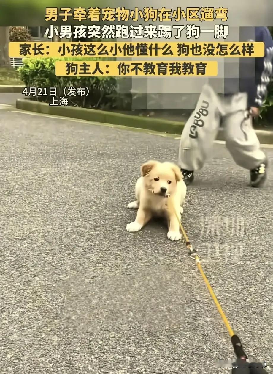 上海，男子牵着小狗在小区遛弯时，突然一男孩跑来踢了小狗一脚。他问男孩：“你刚刚踢