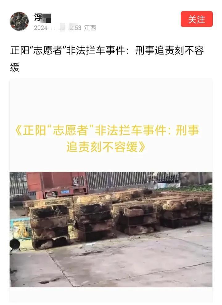 坚决向极端倾向人群说不，刚刚举报一个极端倾向恨狗虐猫分子，并被平台受理。自媒体平