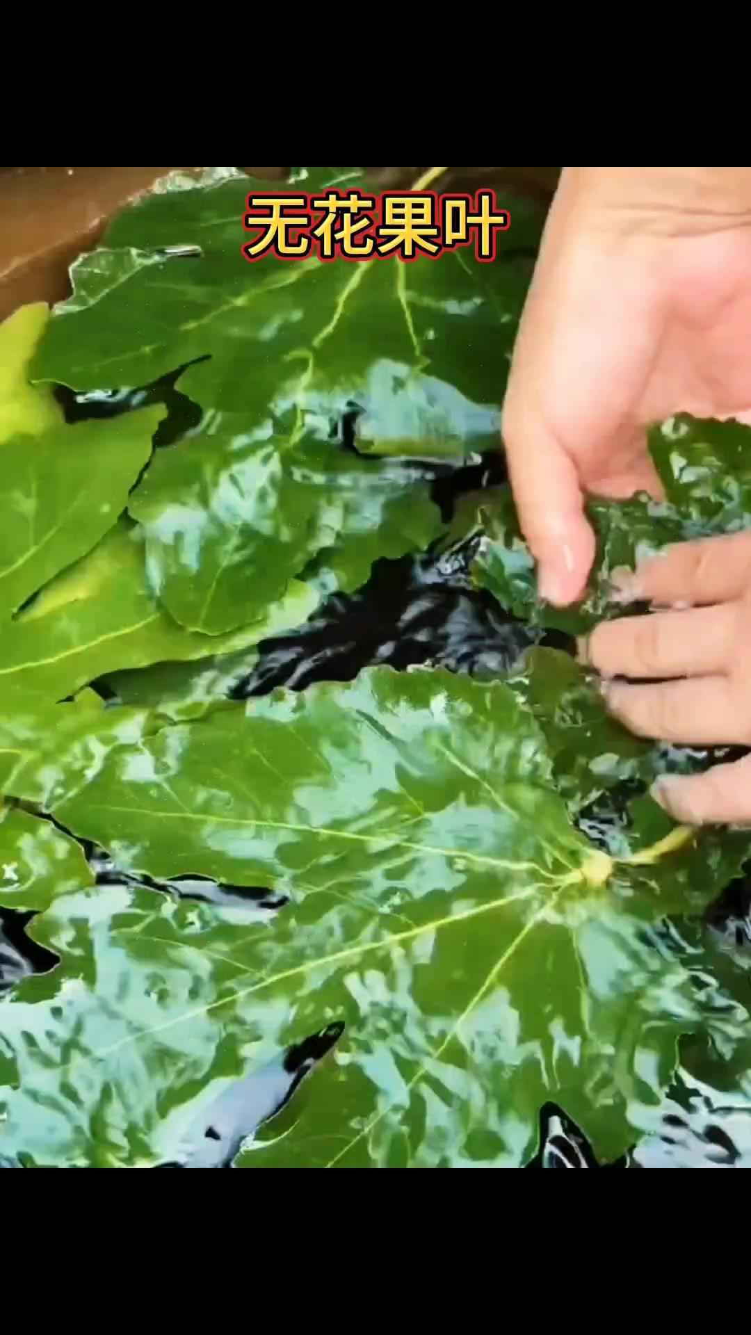 ✨无花果的叶子比无花果还要珍贵，10个男人就有9个用得着。

1️⃣老一辈经验：