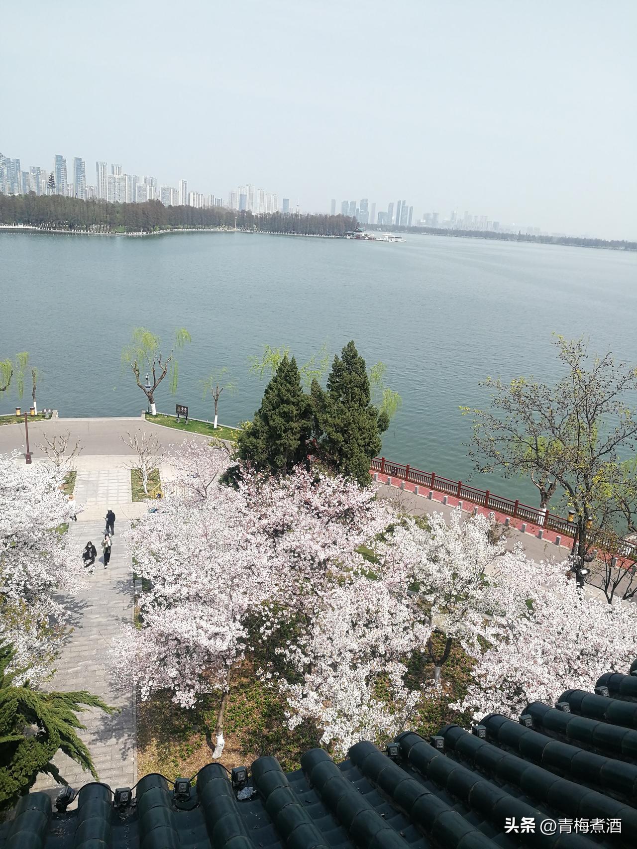 林语堂先生曾说：“有钱的人不一定能真正领略悠闲生活的乐趣，只有那些轻视钱财的人才
