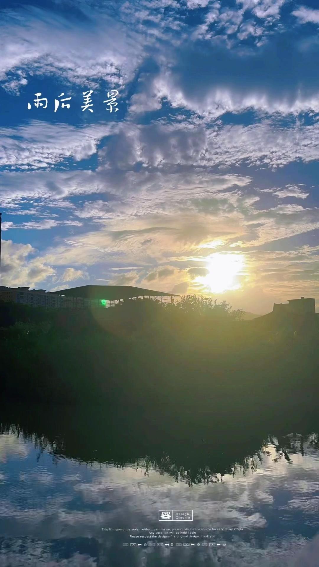 雨后的普宁乡村美得像幅画！乌云散去，空气清新，田野里的稻子沾着水珠，在阳光下亮晶