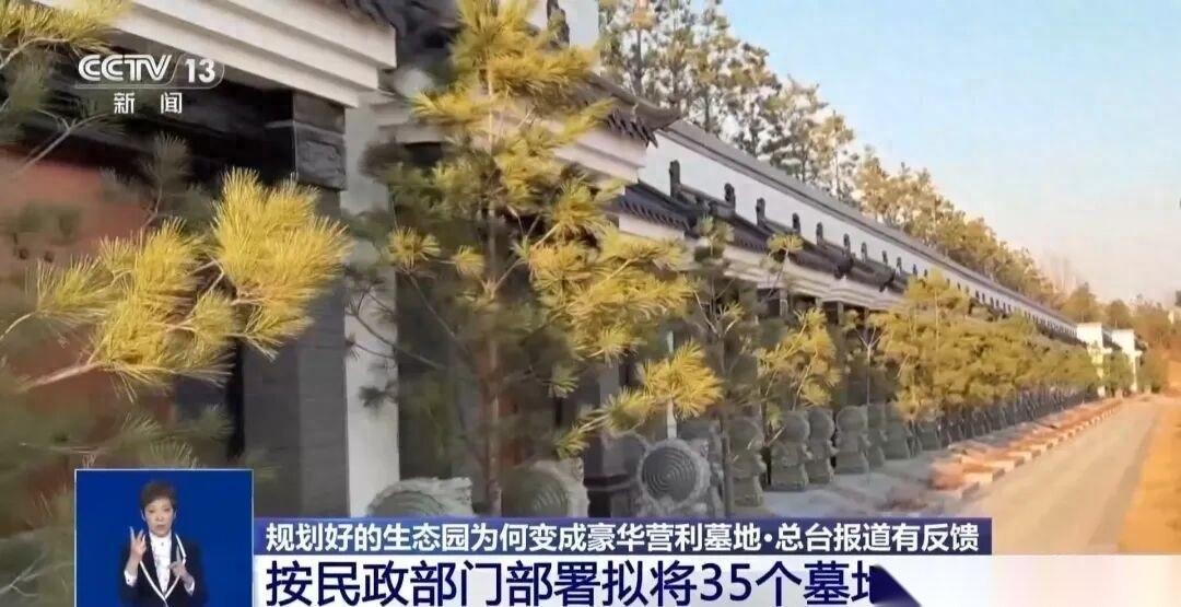 近日，网传某地生态园遭违规改造，大片绿地被私自改建成规格奢华的私人豪华墓地，违规