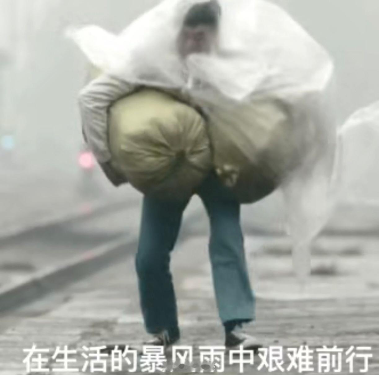 #平江特大暴雨#最近家人们的生活belike: ​​​