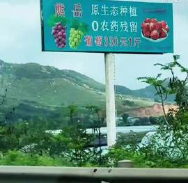 你以为超市里60元一斤的“贵族草莓”就是天花板了？辽宁高速一块广告牌，直接让全网