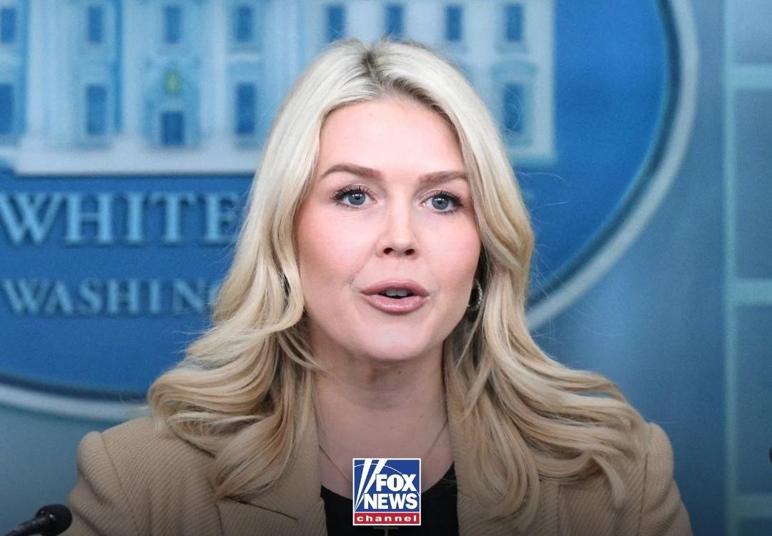 新闻快讯——“这是常识”：白宫新闻秘书卡罗琳·莱维特就最高法院性别权利听证会作出