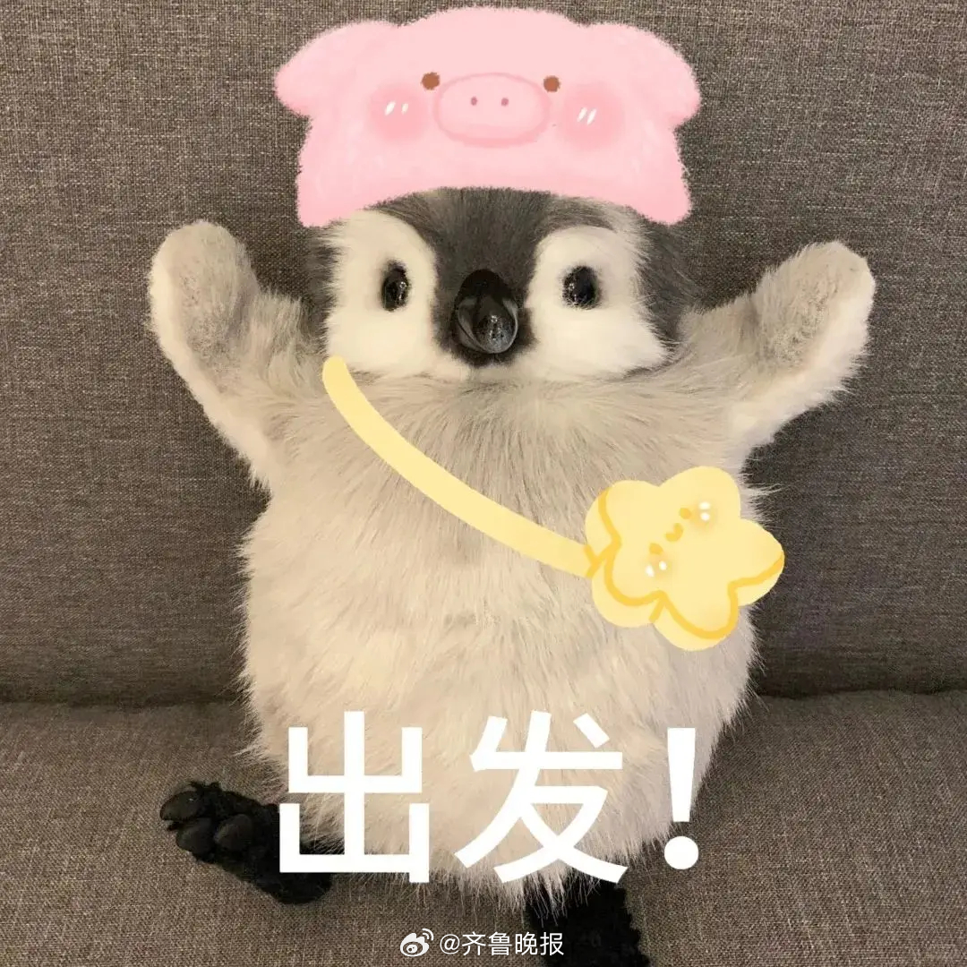 #早安# 只要还有明天，今天就永远是起跑线。 