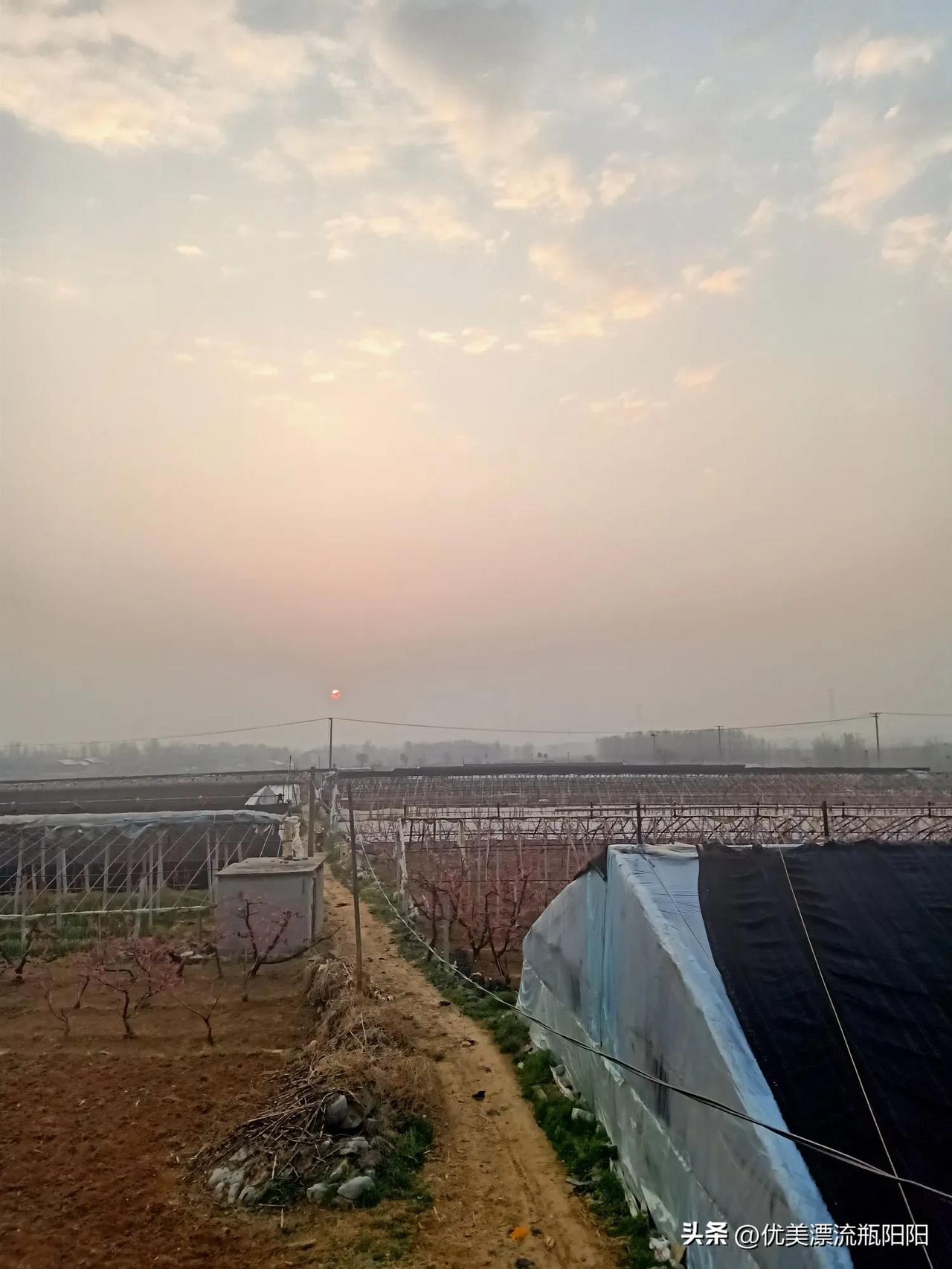 春日生活打卡季日出东方，开启一天的美好，太阳每天都是新的，迎接新的开始！