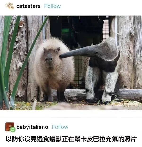 呼哧呼哧 