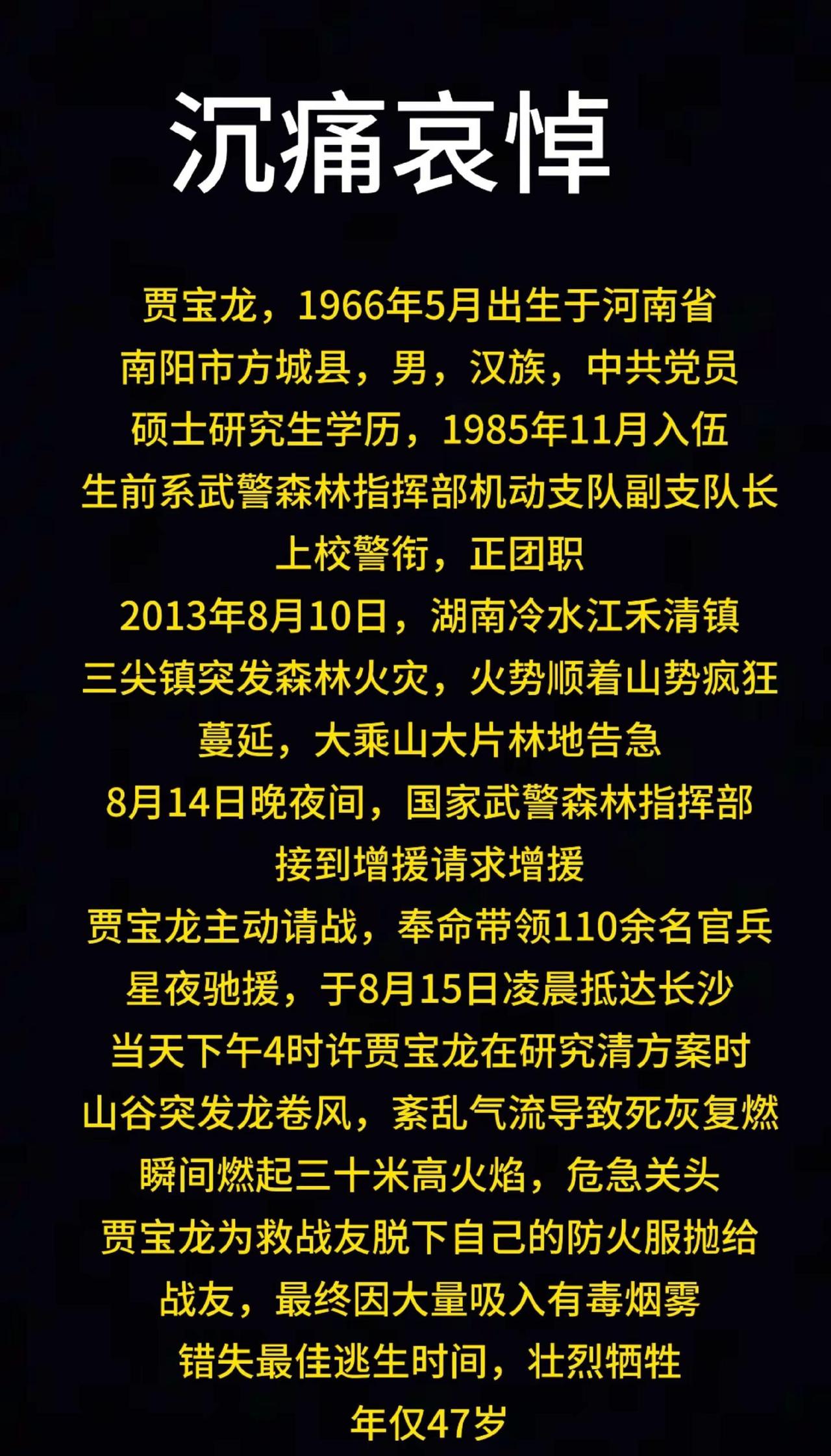 致敬英雄 消防救援 贾宝龙烈士 人民英雄永垂不朽