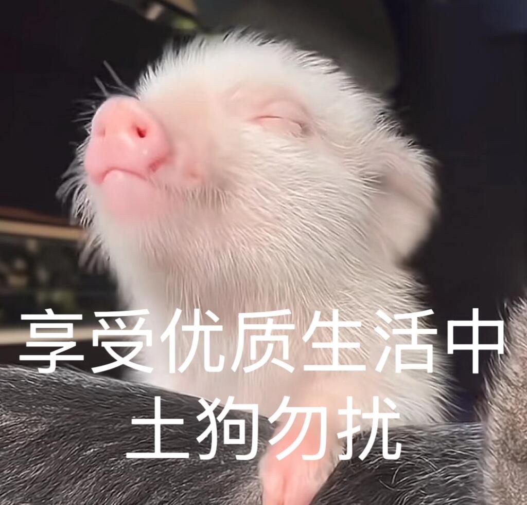 卢昱晓 刺棠卢昱晓除了真诚点、善良点、努力点、美丽点，开朗点还有什么优点？ 