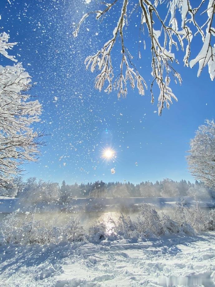 生肖鼠在2026年的健康状况需要注意⚠️鼠年朋友们在明年将面临“灾煞”星的影响，