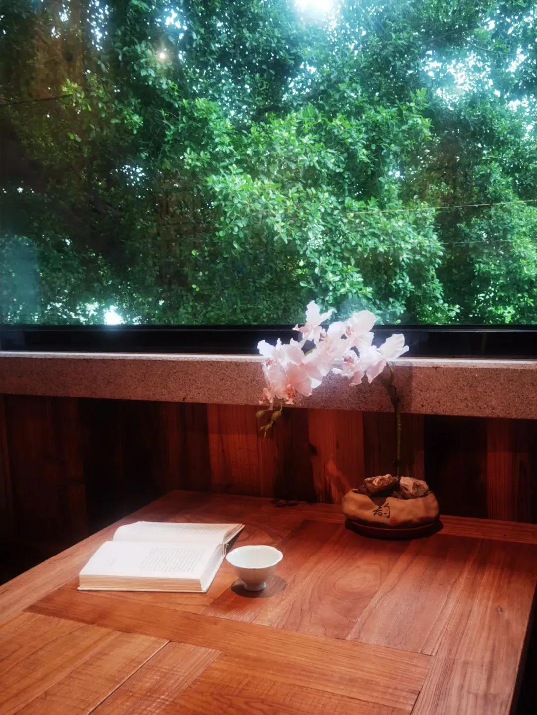 秋风起，落叶飘，岁月如茶，细细品味。人生路漫漫，恍若一杯茶的轮回，满溢之间，尽显