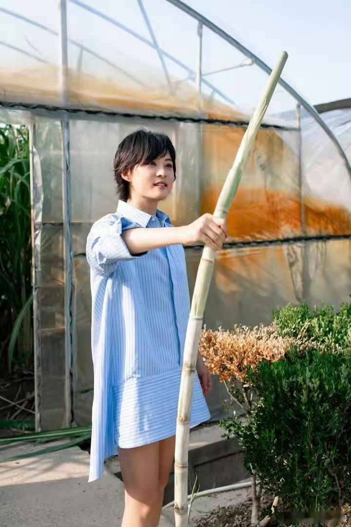 孙俪的绘本对大朋友的我也刚刚好孙俪主编的儿童四季绘本四年打磨的四季绘本来啦！孙俪