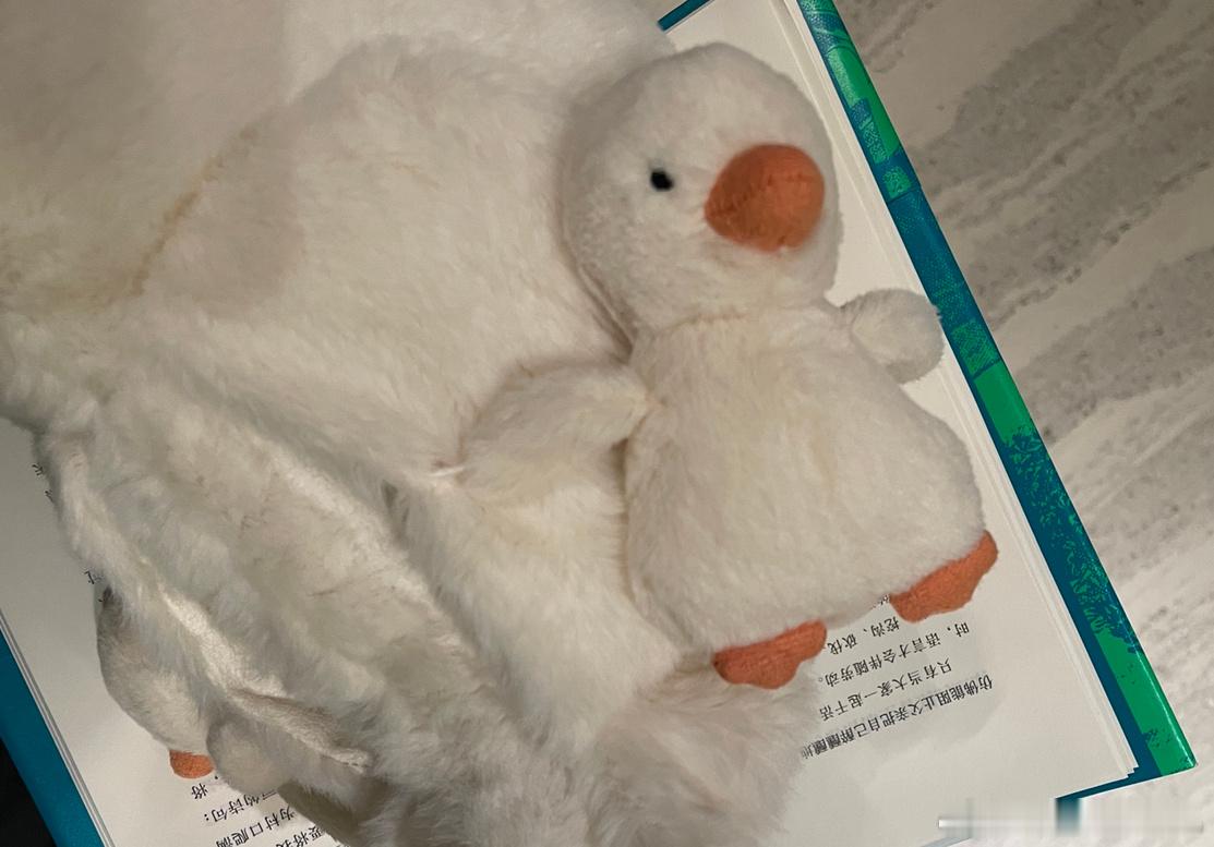 管教太戳我了嘎“把华派留给我”Z“又想自己偷偷玩”嘎“嘻～”好好好，心满意足起床