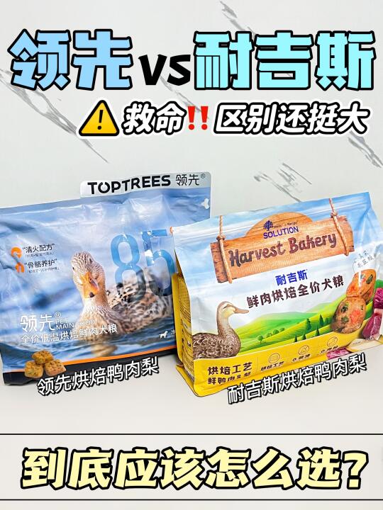 🆘区别很大‼️领先和耐吉斯到底怎么选？