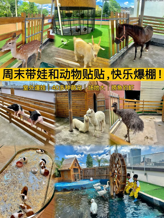 不限时，0 距离接触各种小动物真是太过瘾啦